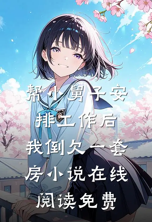 帮小舅子安排工作后，我倒欠一套房小说在线阅读免费