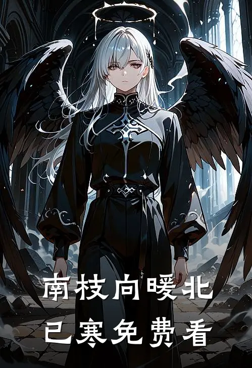 南枝向暖北已寒免费看