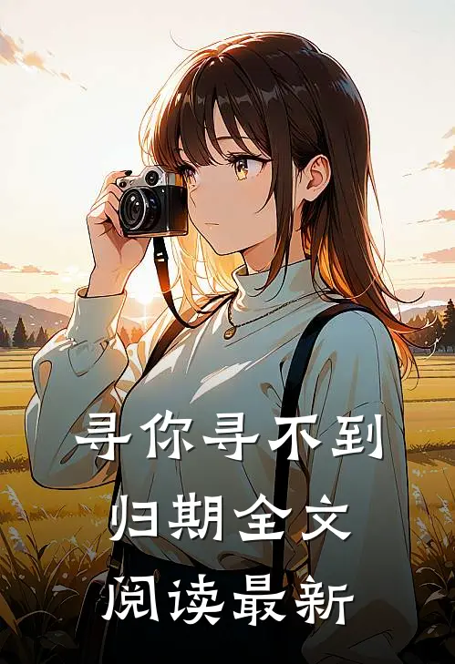 寻你寻不到归期全文阅读最新