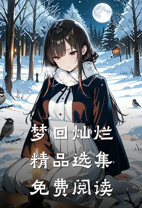 梦回灿烂精品选集免费阅读