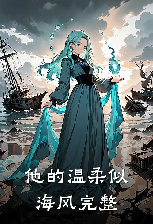 他的温柔似海风完整