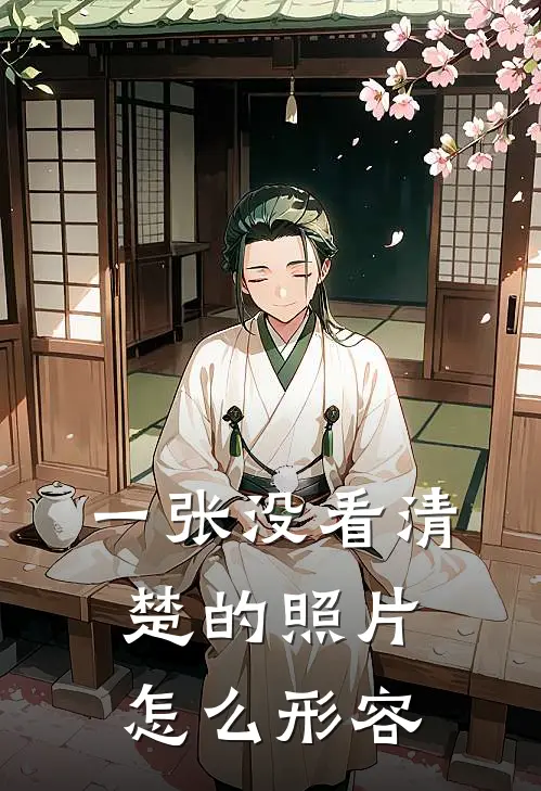一张没看清楚的照片怎么形容
