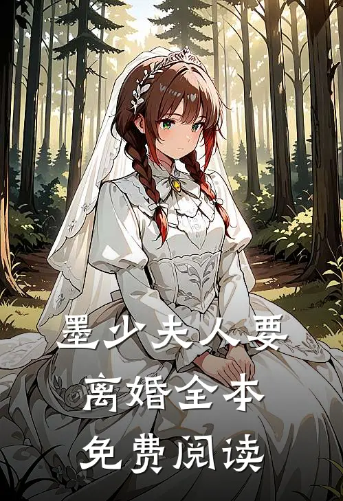 墨少夫人要离婚全本免费阅读