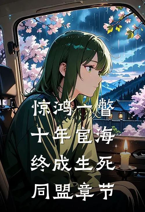 惊鸿一瞥：十年宦海，终成生死同盟章节