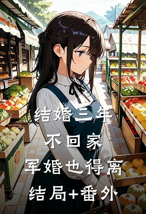 结婚三年不回家，军婚也得离结局+番外