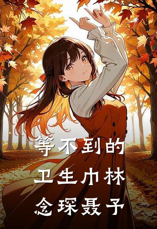 等不到的卫生巾林念琛聂予