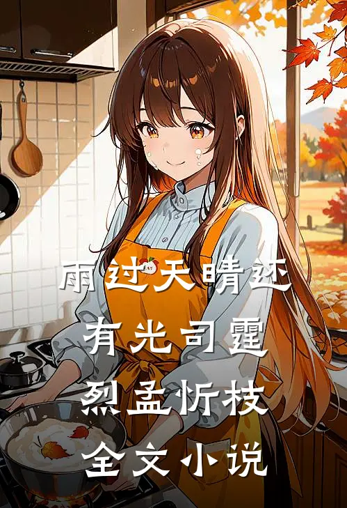 雨过天晴还有光司霆烈孟忻枝全文小说