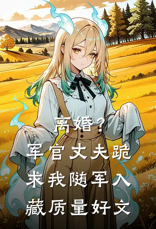 离婚？军官丈夫跪求我随军入藏质量好文