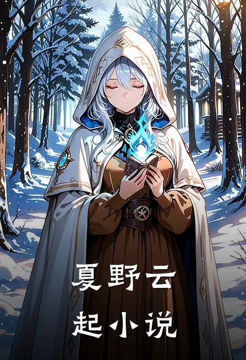 夏野云起小说
