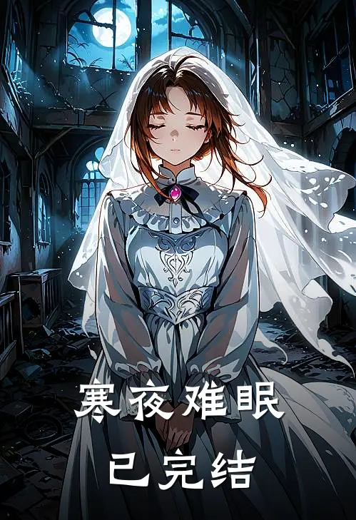 寒夜难眠已完结