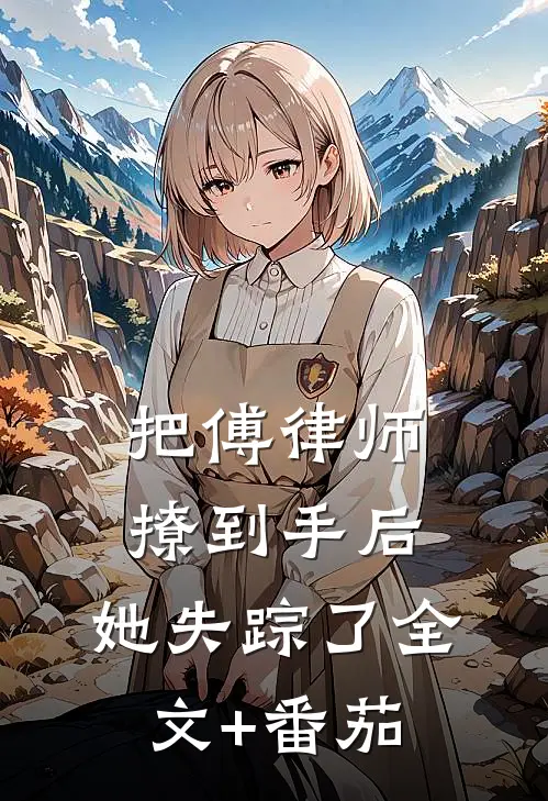 把傅律师撩到手后，她失踪了全文+番茄