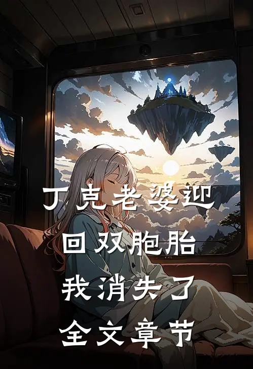 丁克老婆迎回双胞胎，我消失了全文章节