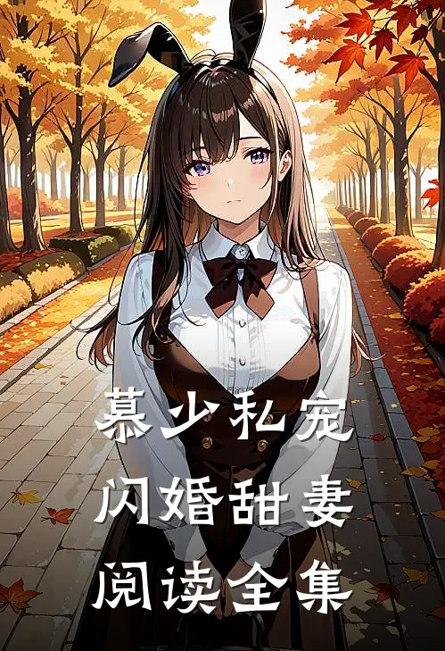 慕少私宠闪婚甜妻阅读全集