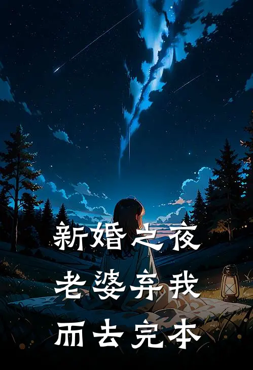 新婚之夜，老婆弃我而去完本