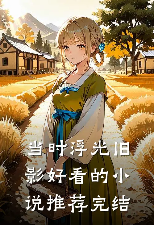当时浮光旧影好看的小说推荐完结