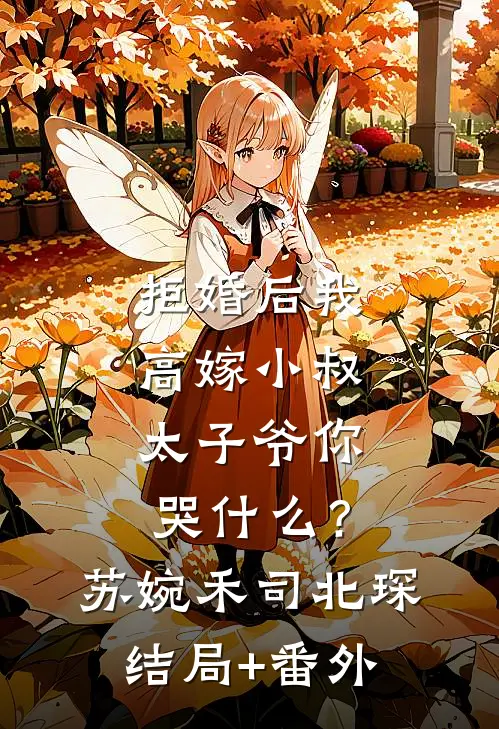 拒婚后我高嫁小叔，太子爷你哭什么？苏婉禾司北琛结局+番外