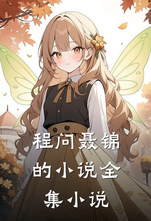 程问聂锦的小说全集小说