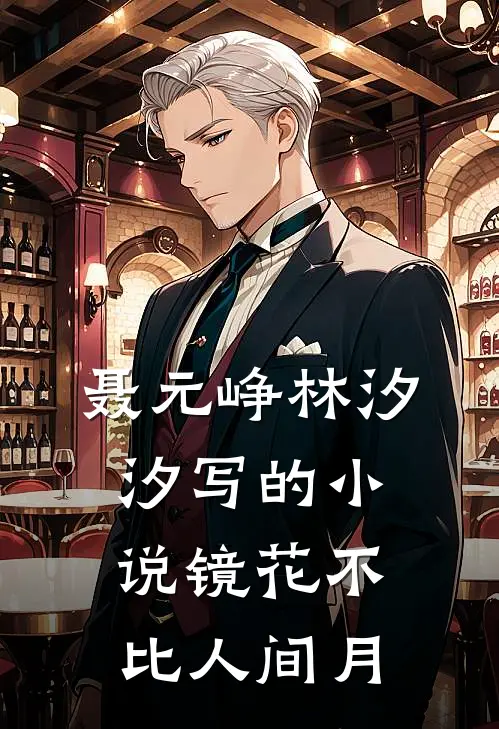 聂元峥林汐汐写的小说镜花不比人间月