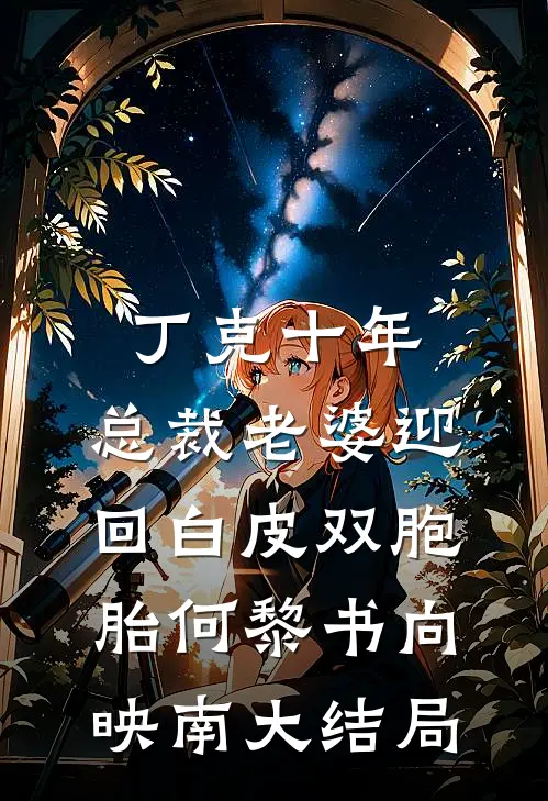 丁克十年，总裁老婆迎回白皮双胞胎何黎书向映南大结局