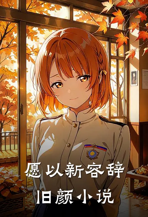 愿以新容辞旧颜小说