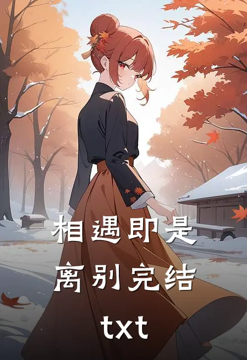 相遇即是离别完结txt