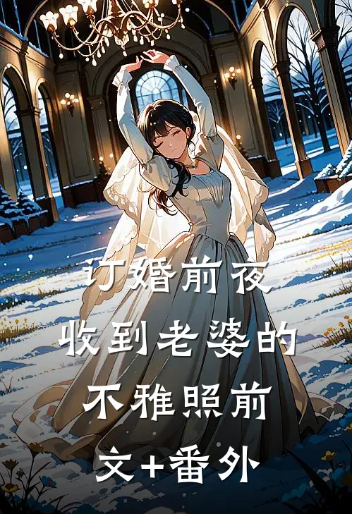 订婚前夜，收到老婆的不雅照前文+番外