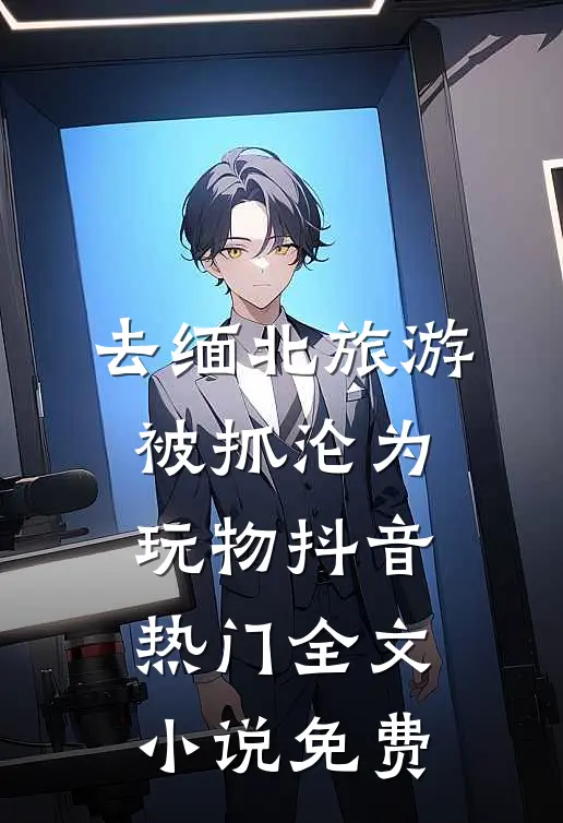 去缅北旅游被抓沦为玩物抖音热门全文小说免费