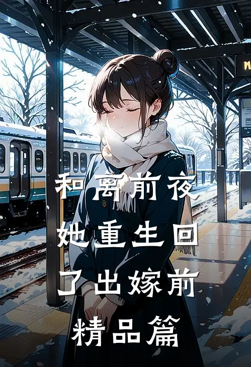 和离前夜，她重生回了出嫁前精品篇