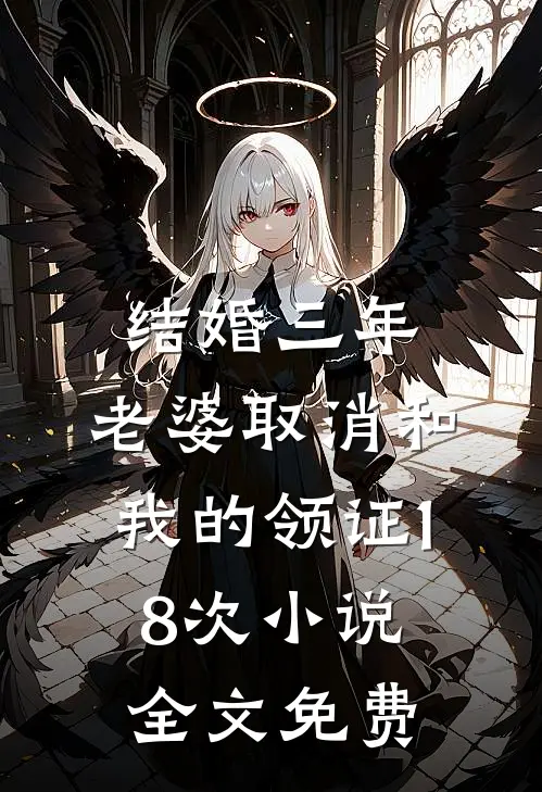 结婚三年，老婆取消和我的领证18次小说全文免费