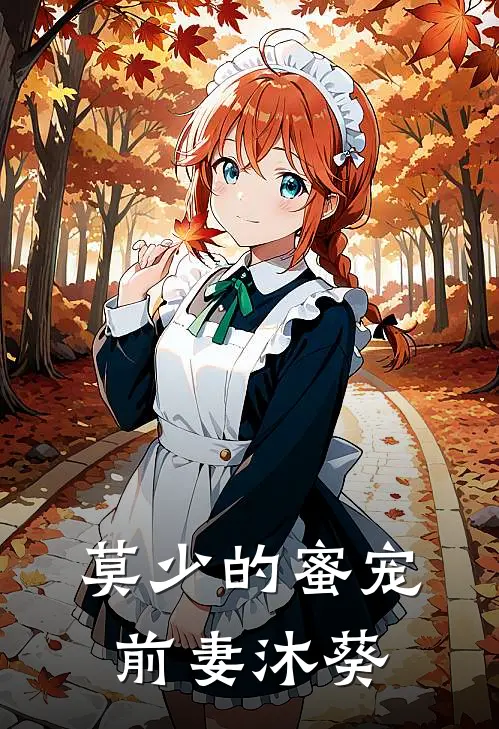莫少的蜜宠前妻沐葵