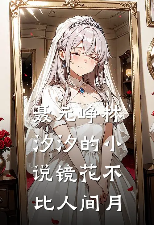 聂元峥林汐汐的小说镜花不比人间月