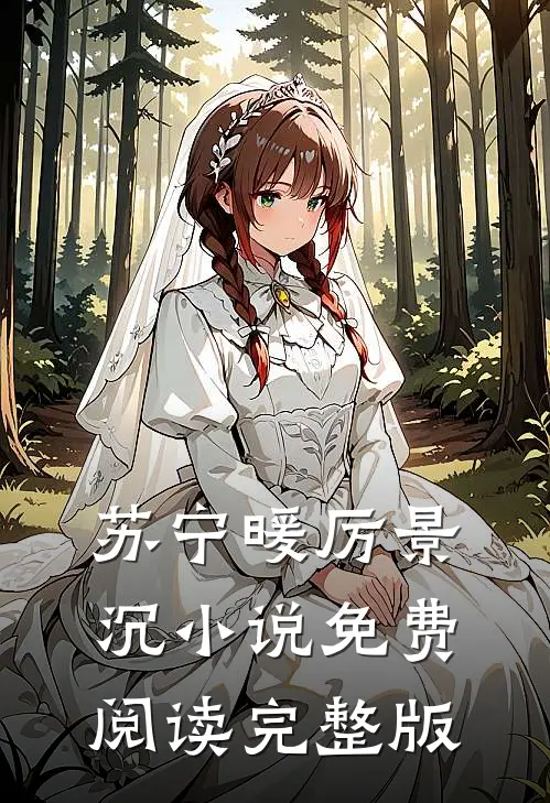 苏宁暖厉景沉的故事免费阅读小说