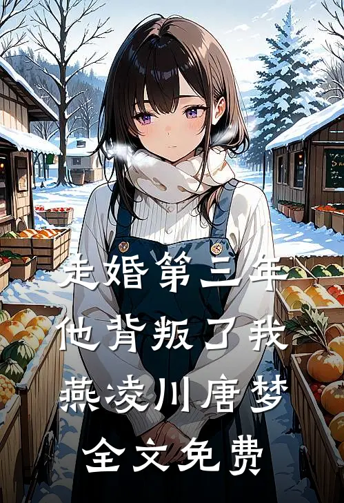 走婚第三年他背叛了我燕凌川唐梦全文免费