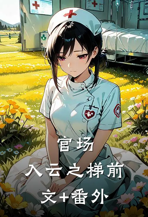 官场：入云之梯前文+番外